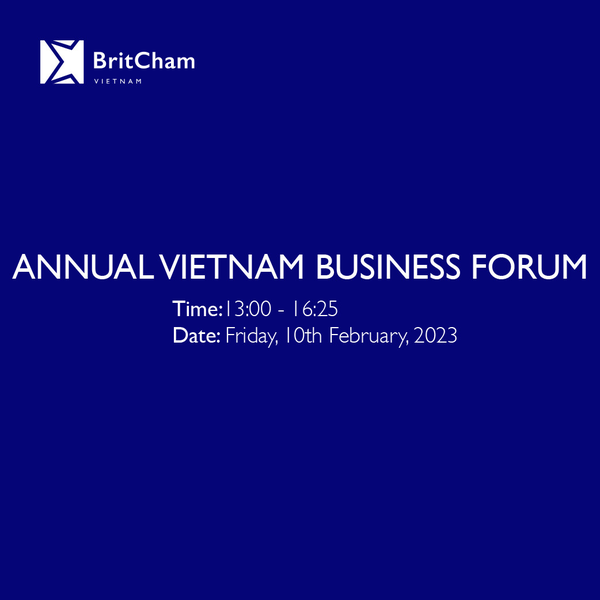 Annual Vietnam Business Forum (VBF)